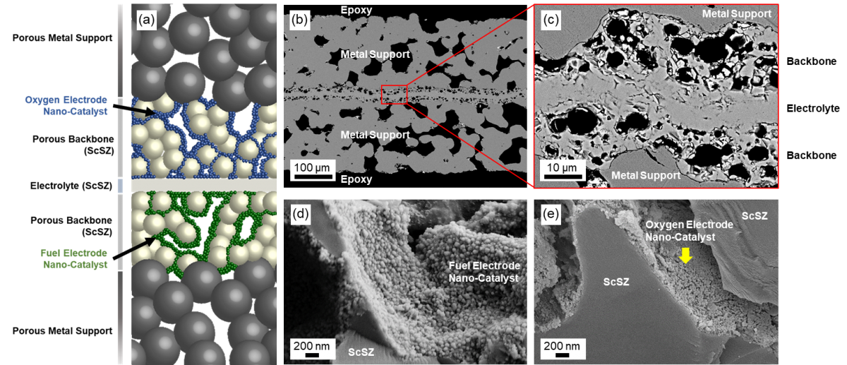 (a) Schematic of a metal-supported solid oxide fuel/electrolysis cell (MS-SOFC/SOEC). (b-e) SEM micrographs of (b) cross-section of a MS-SOFC/SOEC, (c) cross-section of porous backbones and dense electrolyte, (d) fuel electrode catalyst infiltrated on ScSZ backbone, (e) oxygen electrode catalyst infiltrated on ScSZ backbone.