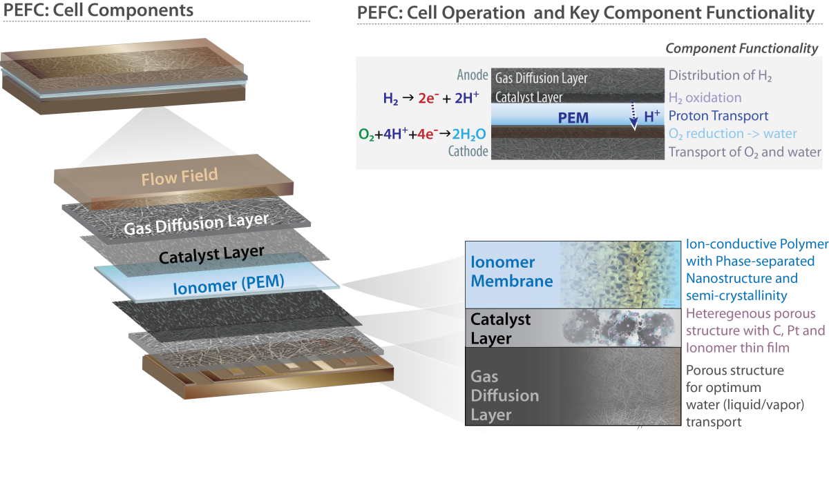 A polymer electrolyte fuel cell (PEFC) is comprised of multiple functional components 